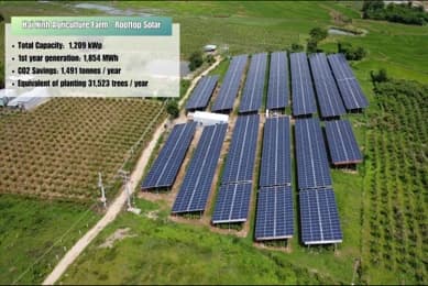 Dự án Trang trại Điện mặt trời Nông nghiệp Hải Ninh